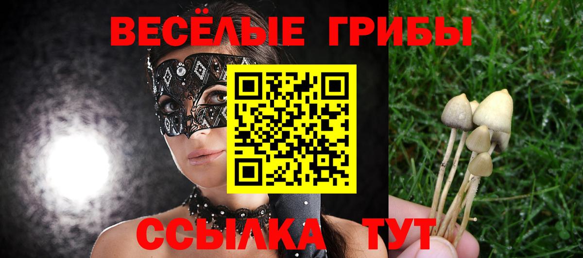Псилоцибиновые грибы Psilocybine cubensis  Вход с VPN  Лабытнанги 
