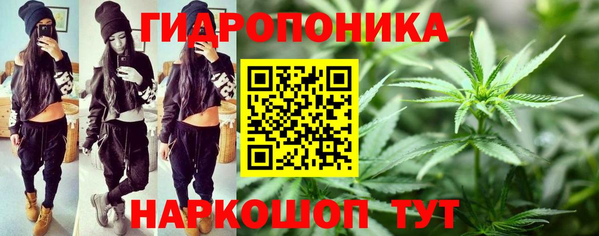 Бошки Шишки Amnesia  Каннабис гибрид  Лабытнанги  Вход с VPN  Бошки марихуана VHQ 